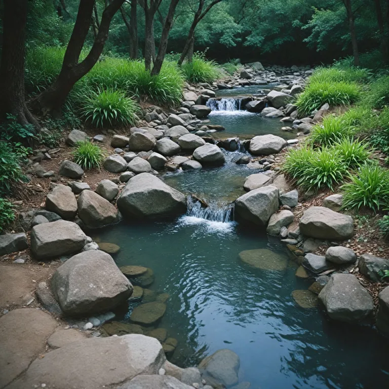 Comment purifier l’eau pour une hydratation saine au quotidien