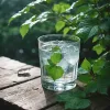Pourquoi choisir l’eau réfrigérée pour une hydratation optimale