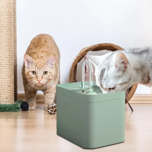 XINXI Fontaine À Eau pour Chat, Ultra Silencieuse 1.5 L sans Fil, pour Animaux De Compagnie avec Filtre pour Oiseaux Chiens 5v-2