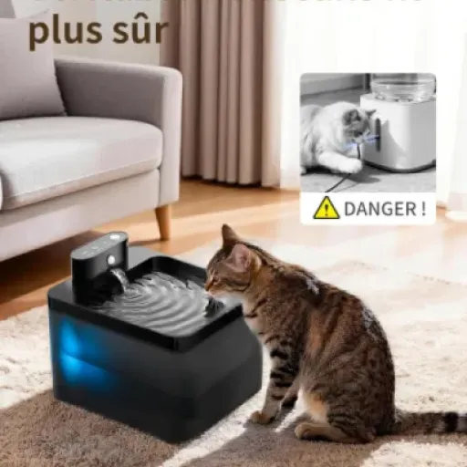 Test Fontaine DMUUPEW PET 2,2L : la fontaine à eau sans fil qui simplifie vraiment la gamelle