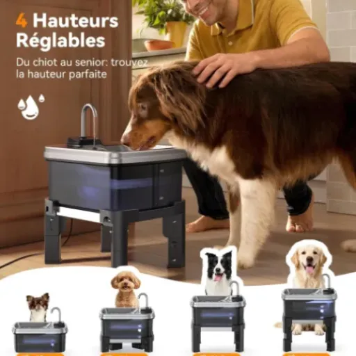 Test FEELNEEDY 9L Fontaine a Eau Chien : grosse capacité et hauteur réglable pour les grands toutous