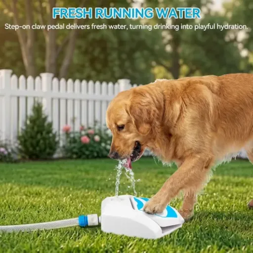 Test ALL FOR PAWS Fontaine de jardin pour chiens : gadget sympa pour l’été, mais pas parfait