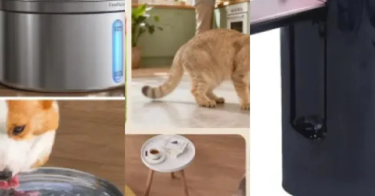 Top 4 : meilleurs fontaines à eau avec écran digital (juin 2026)