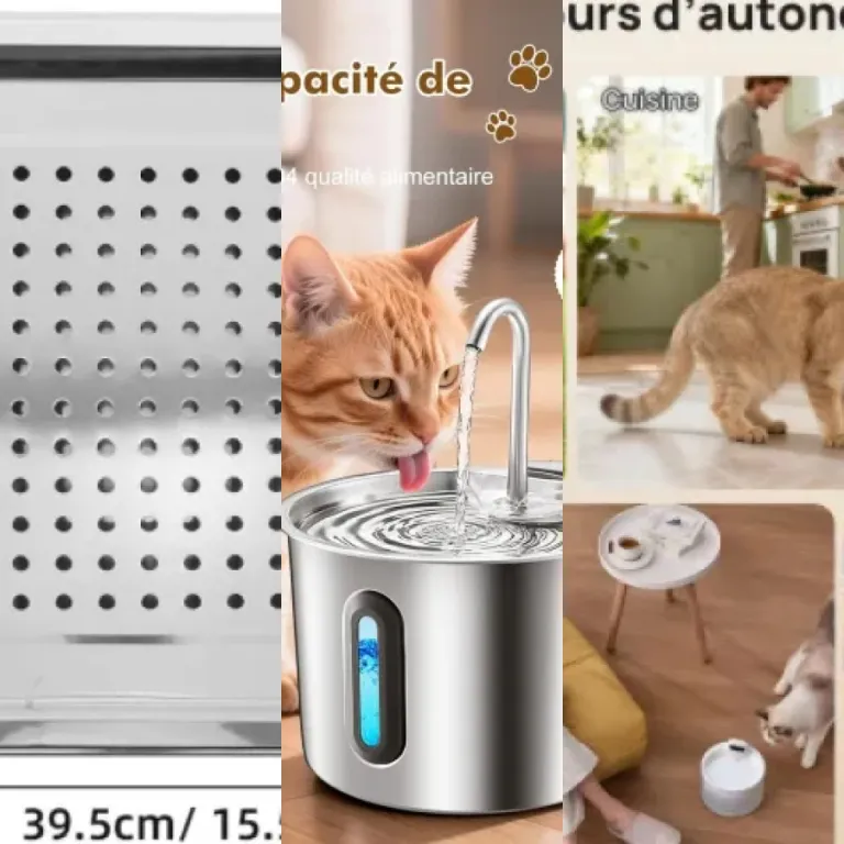 Les meilleurs fontaines à eau compactes : notre top 12 (2026)