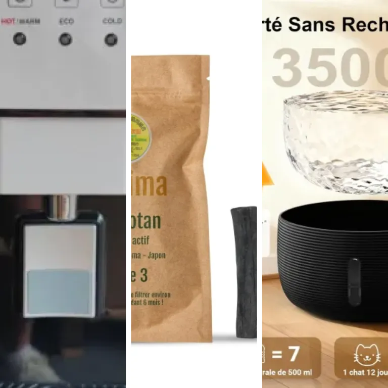 Les 11 meilleurs fontaines à eau avec filtre à charbon actif (2026)