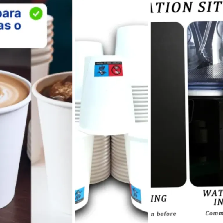 Les 5 meilleurs gobelets pour fontaines à eau (2026)
